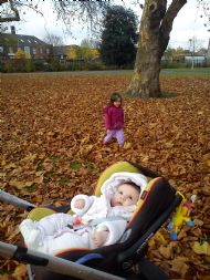 Park November 11